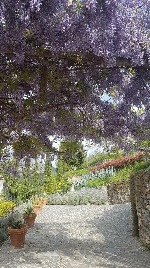 Ancient Estate "Il Trignano" Villa Vietri Bagian luar foto
