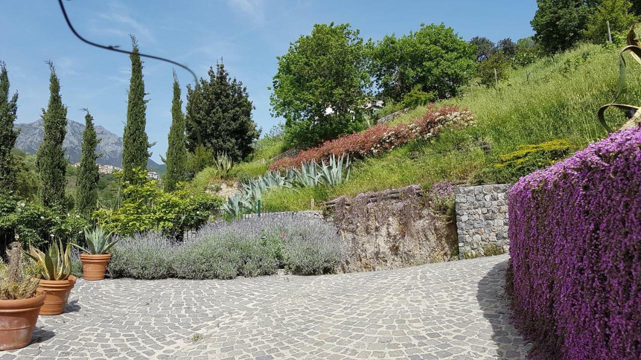 Ancient Estate "Il Trignano" Villa Vietri Bagian luar foto