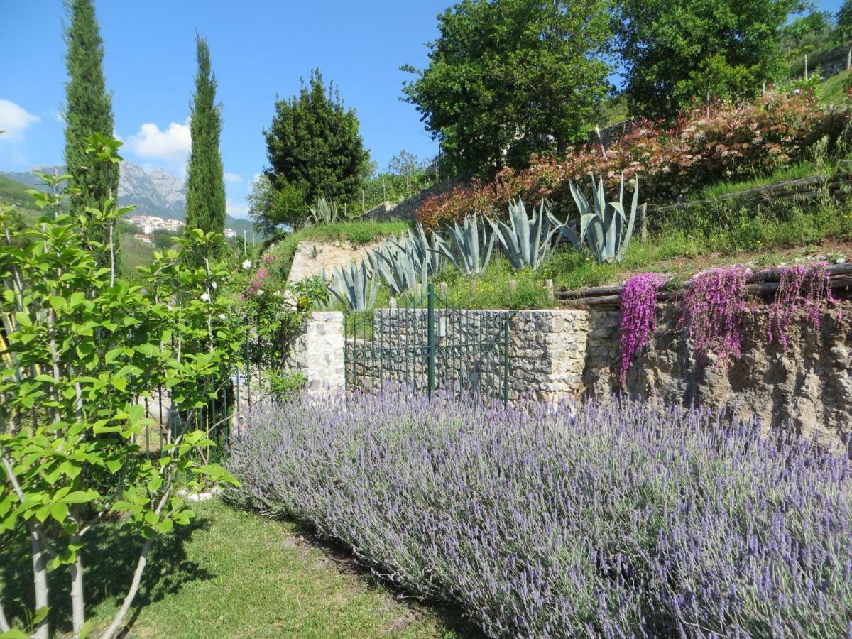 Ancient Estate "Il Trignano" Villa Vietri Bagian luar foto